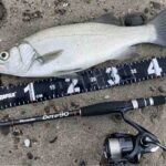 19ヴァンキッシュ 使い込んだインプレ